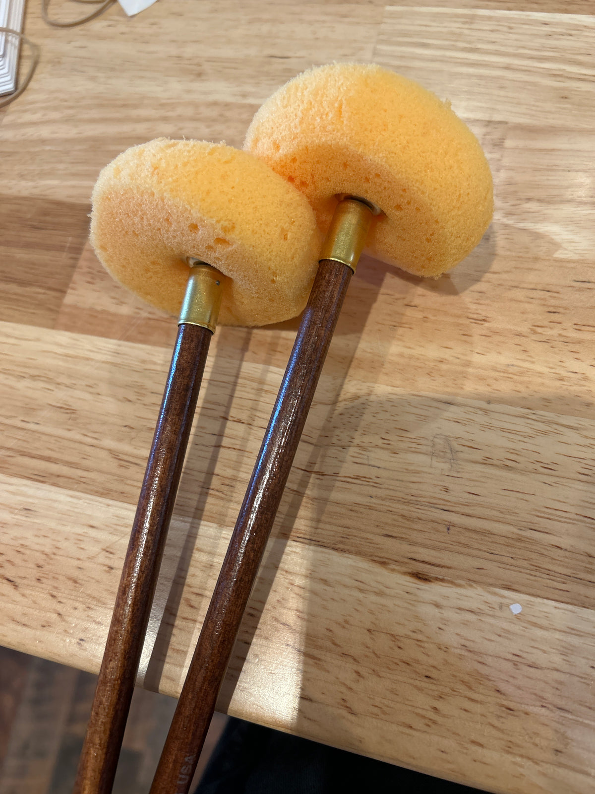 Sponge & Holder