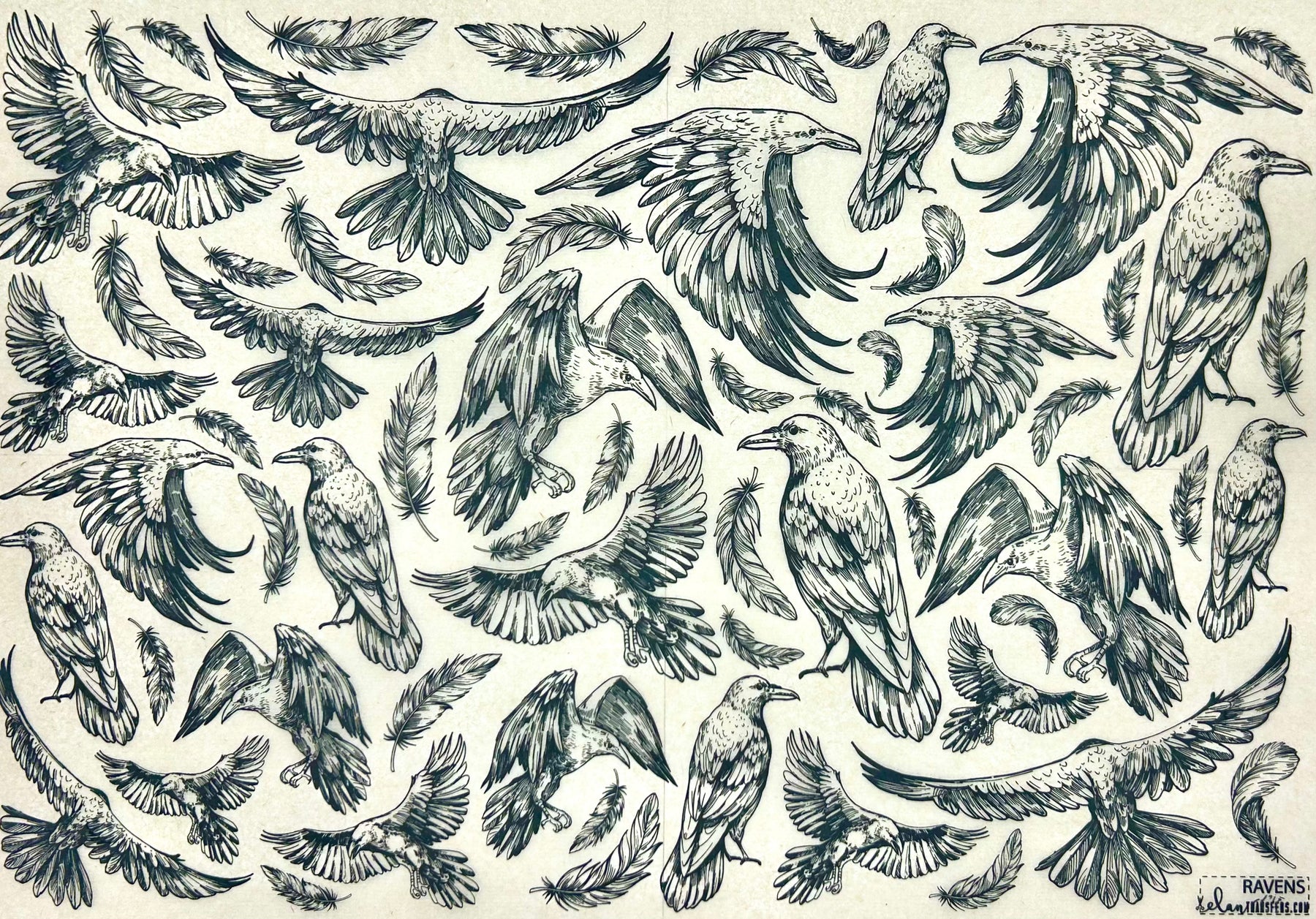 Ravens - Underglaze Transfer Sheet