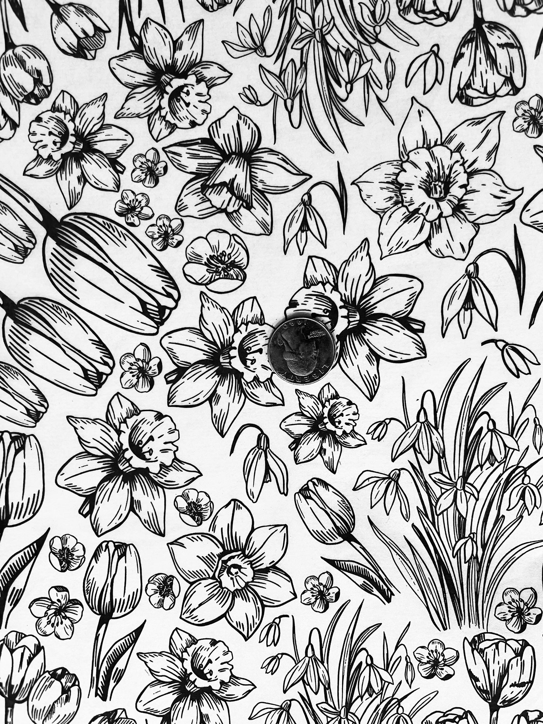 Spring Has Sprung - Underglaze Transfer Sheet