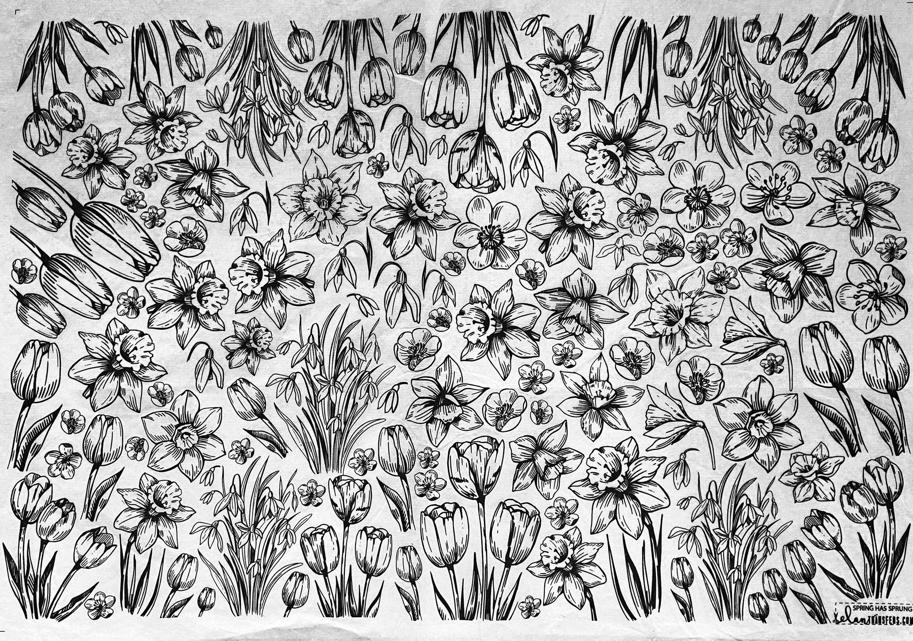 Spring Has Sprung - Underglaze Transfer Sheet