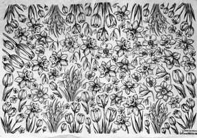 Spring Has Sprung - Underglaze Transfer Sheet