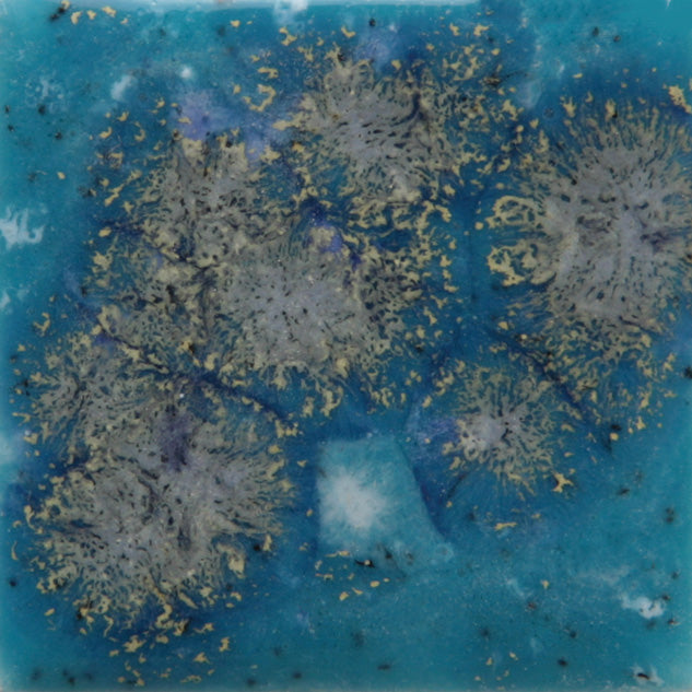 Tahiti Grape