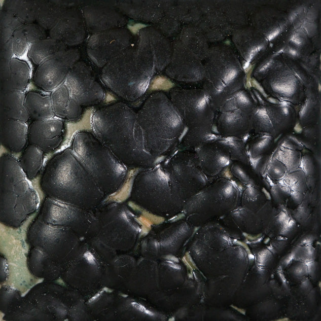 Black Mudcrack